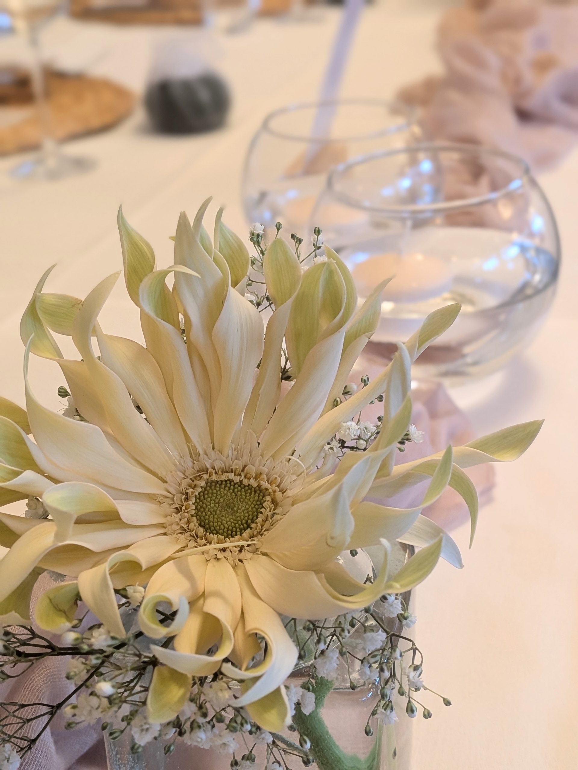 Florales Hochzeitsarrangement mit heller Gerbera und Schleierkraut